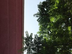 -中国科学技术馆影院