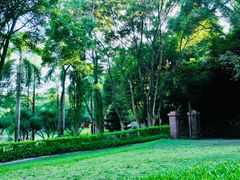 -深圳国际园林花卉博览园