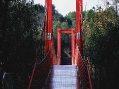-上海吴淞炮台湾国家湿地公园
