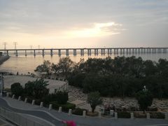 景点-宝安西湾红树林湿地公园