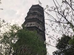 -巢湖姥山岛