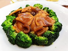 鲍汁海参扣西兰花-轩记海鲜餐厅·四十五年老字号·经典粤菜(西区彩虹店)
