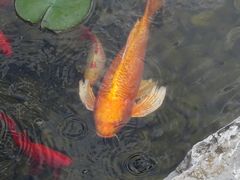 -昆明洲际酒店