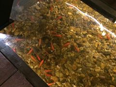 -颐和•海鲜砂锅粥•啫啫煲(奥林匹克广场店)