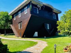 -金山农民画村-枫泾波兰倒置屋