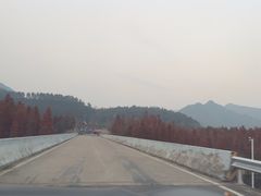 -小芝红树林