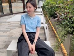 -岭南站NOVA