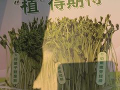 -蒙都43°9羊火锅·赤峰美食(宁城店)