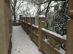 -武汉大学老图书馆