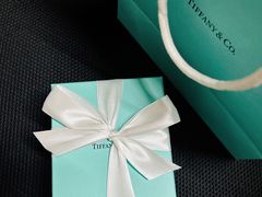 -Tiffany & Co.蒂芙尼
(武汉武商MALL店)