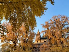 -北京石刻艺术博物馆(五塔寺)