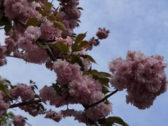 -幕燕滨江·长江观音景区