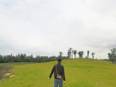 -白鹭湾湿地公园