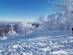 -大秃顶子山
