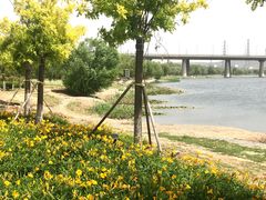 -门城湖公园