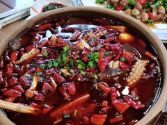 -青城甲(青城山店)