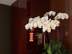 -朗丽兹自助餐厅