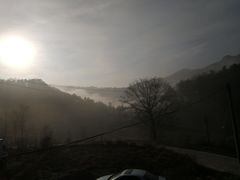 -合肥滨湖国家森林公园