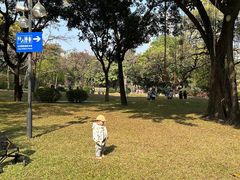 -晓港公园