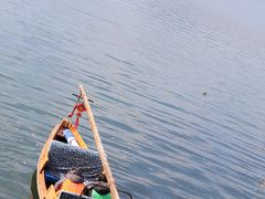 -西湖外事游船(花港观鱼码头)