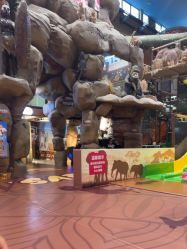 -卡通尼·Safari非洲探索乐园·生日会(金桥国际商业广场店)