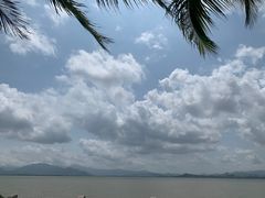 -深圳湾公园(南山区)