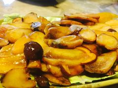 -易门野生菌府·菌海森林(月牙潭公园店)