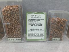 -北京中医药大学-中医药博物馆