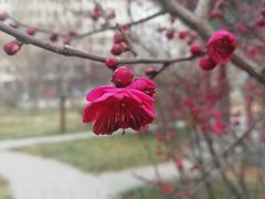 -山东大学(趵突泉校区)