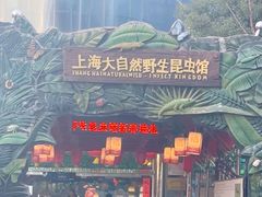 -上海大自然野生昆虫馆(东方明珠·爬宠昆虫探索中心)