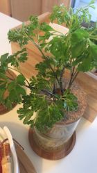 -FACE·日本小颜矫正美容整骨サロン