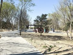 -绿堤公园