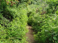 -北京西山国家森林公园