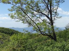 -北京西山国家森林公园