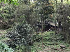 -凤栖山