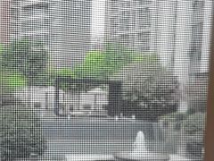 -鱼鲜饭香·招牌汽锅剁椒鱼头王