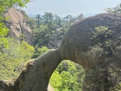 -六里坪国家森林公园