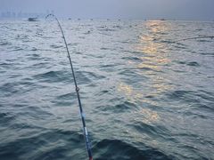 -中国中医科学院西苑医院(本部)