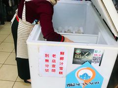 -洪馨椰子