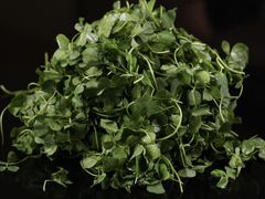 -菩提素食·私房菜(首辅路店)