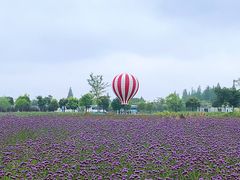 游乐设施-歌斐颂巧克力小镇