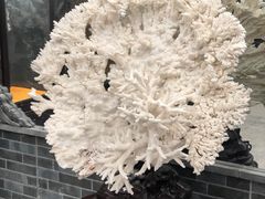 -游龙石文化科普馆