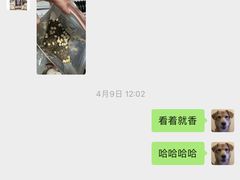 -派多格宠物(御景湾店)