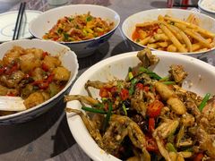 -壹盏灯(惠农店)