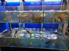 水产区-百家鲜·杭帮菜