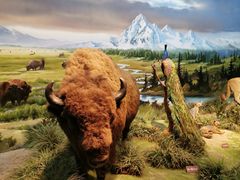 -陕西自然博物馆