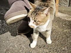 -勇哥饭店(西湖路店)