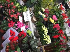 -秦美花卉(天朗·莱茵小城2期店)