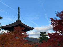 -常寂光寺