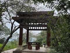 -桃花岭景区